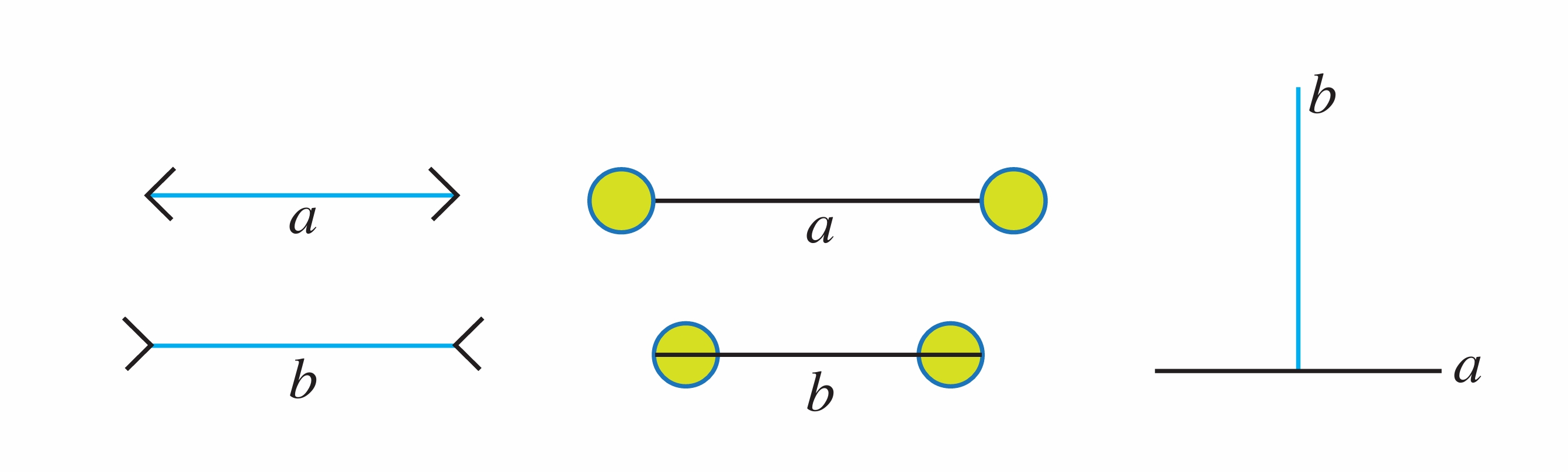 线段长度的观察